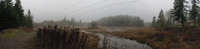 Foggy Day - Nanaimo Estuary