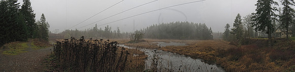 Foggy Day - Nanaimo Estuary