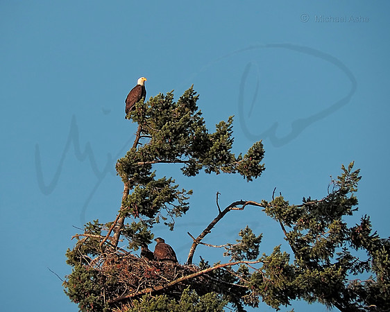 July 12 - Eagle Nest in early afternoon.