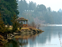 Bald Eagle & Gazebo - Nanaimo Estuary - Living Forest - 150mm